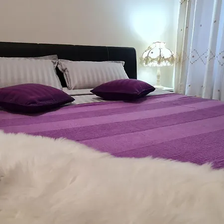 Apartment Artem Belgrad